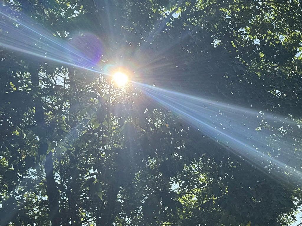The healing journey